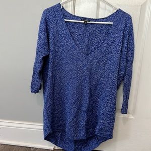 Express light weight v-neck sweater